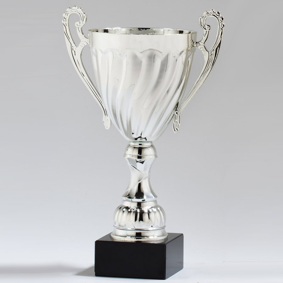 410 mm Tall Silver & Gold tycone Trophy Cup Meilleur Prix Free Plaque Gravure 