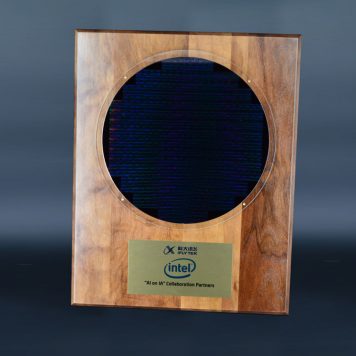 Silicon Wafer Plaque