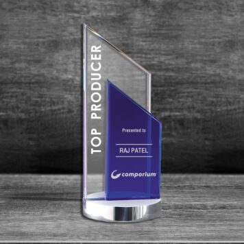 Waterbury Point Crystal Award